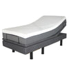 Golden Passport High Low Adjustable Bed - BDA100