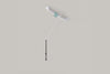 HealthCraft e2 Ceiling Mount Trapeze & Grab Bar
